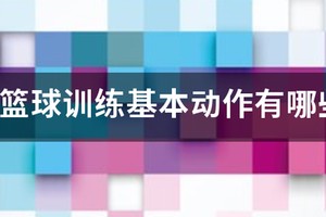篮球训练基本动作有哪些图片和名称视频